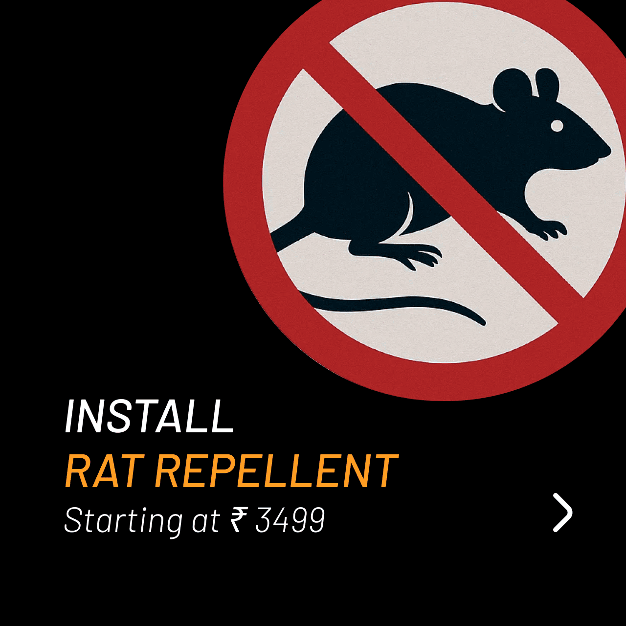 Rat Repellent
